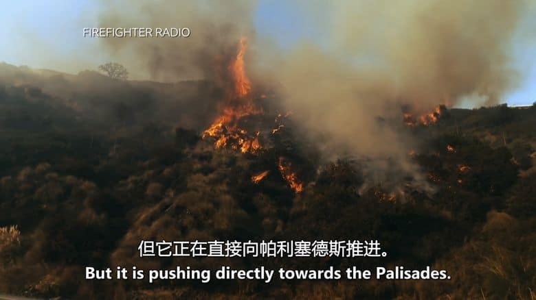 BBC纪录片《洛杉矶大火的那天 The Day Los Angeles Burned 2025》英语中英双字 无水印纯净版 1080P/MKV/1.03G 洛杉矶大火插图3 BBC纪录片《洛杉矶大火的那天 The Day Los Angeles Burned 2025》英语中英双字 无水印纯净版 1080P/MKV/1.03G 洛杉矶大火插图3
