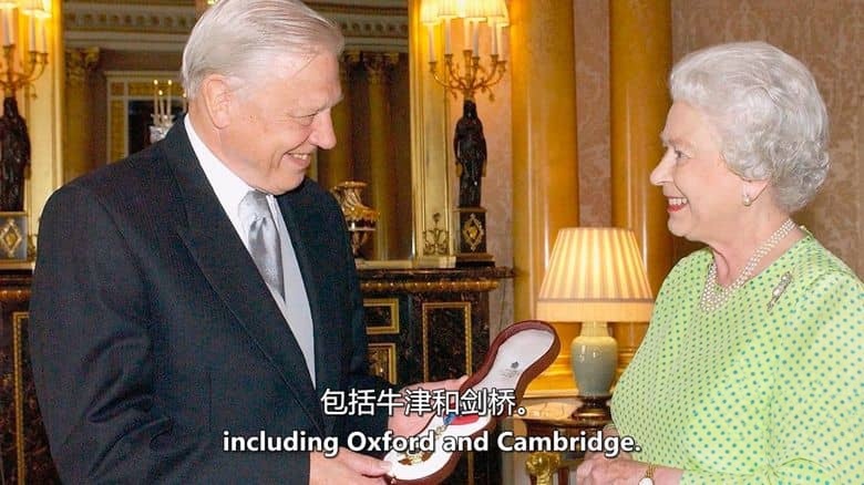 英国纪录片《大卫·爱登堡：地球上的生活 David Attenborough: A Life on Earth 2023》英语中英双字 无水印纯净版 1080P/MKV/2.57G 英国国宝级人物插图3