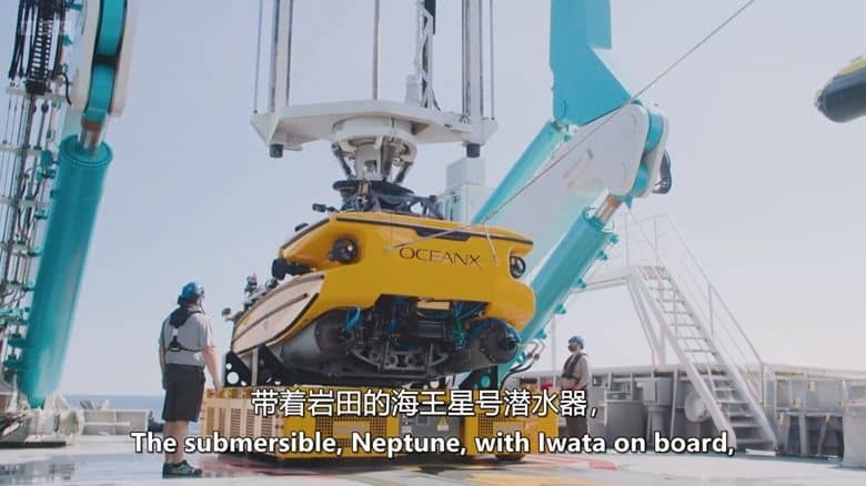 BBC纪录片《深海秘境:腔棘鱼王国 Kingdom of the Coelacanth 2025》英语中英双字 无水印纯净版 1080P/MKV/1G 深海秘境插图4 BBC纪录片《深海秘境:腔棘鱼王国 Kingdom of the Coelacanth 2025》英语中英双字 无水印纯净版 1080P/MKV/1G 深海秘境插图4