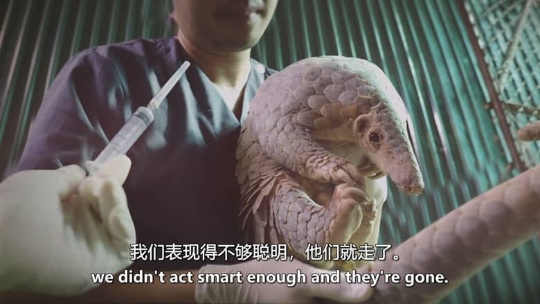 英国纪录片《逃离灭绝 Escape from Extinction 2020》英语中英双字 无水印纯净版 1080P/MKV/1.42G 濒危动物插图2 英国纪录片《逃离灭绝 Escape from Extinction 2020》英语中英双字 无水印纯净版 1080P/MKV/1.42G 濒危动物插图2