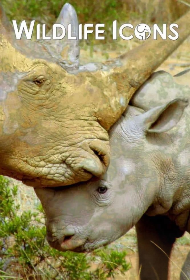 史密森尼频道《野性标志 Wildlife Icons 2015》全8集 英语中英双字 无水印纯净版 1080P/MKV/12.1G 非凡的野生动物插图 史密森尼频道《野性标志 Wildlife Icons 2015》全8集 英语中英双字 无水印纯净版 1080P/MKV/12.1G 非凡的野生动物插图