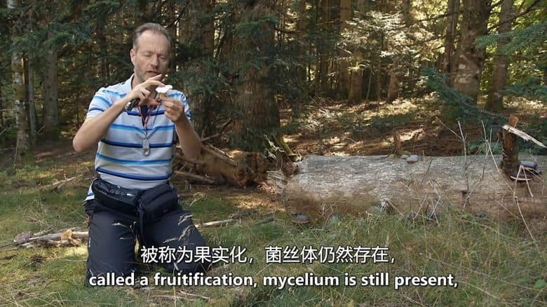 美国纪录片《地下的隐秘生命 Secret Life Underground 2014》全2集 英语中英双字 无水印纯净版 1080P/MKV/7.11G 地下生物插图4