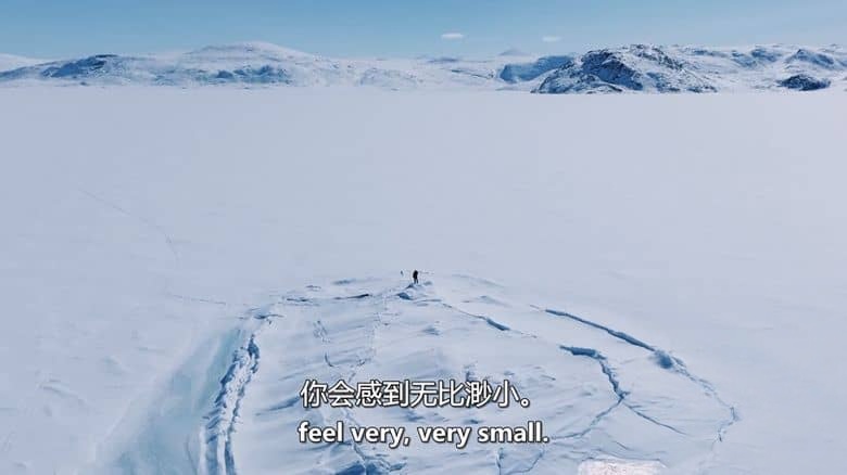 英国纪录片《史蒂夫·巴克肖的皇家北极挑战 Steve Backshall’s Royal Arctic Challenge 2025》英语中英双字 无水印纯净版 1080P/MKV/1.5G 北极探险插图2