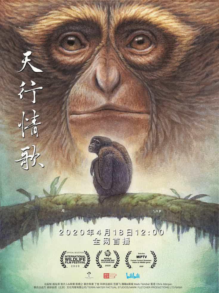 国产纪录片《天行情歌 A Song for Love 2020》国语中字 1080P/MP4/1.27G 中国自然生态插图