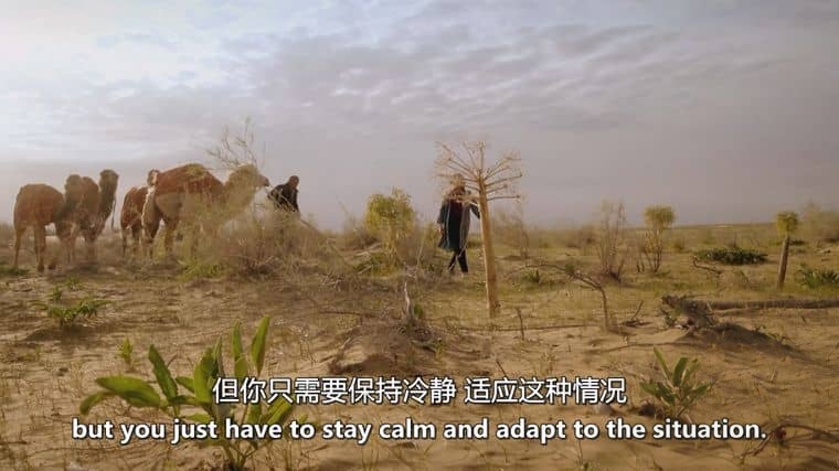 BBC纪录片《乔安娜·林莉的未知之旅 Joanna Lumley’s Unseen Adventures 》全3集 英语中英双字 无水印纯净版 1080P/MKV/6.24G 未知的旅行插图5