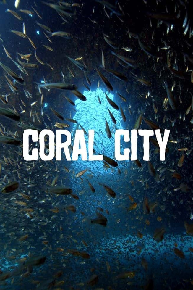 Sky纪录片《珊瑚之城 Coral City 2025》全4集 英语中英双字 无水印纯净版 1080P/MKV/11.2G 珊瑚城插图 Sky纪录片《珊瑚之城 Coral City 2025》全4集 英语中英双字 无水印纯净版 1080P/MKV/11.2G 珊瑚城插图