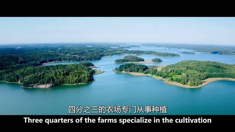 法国纪录片《北欧奇观 Wonders of Northern Europe 2020》全5集 英语中英双字 无水印纯净版 1080P/MKV/13.3G 北欧风情插图4 法国纪录片《北欧奇观 Wonders of Northern Europe 2020》全5集 英语中英双字 无水印纯净版 1080P/MKV/13.3G 北欧风情插图4