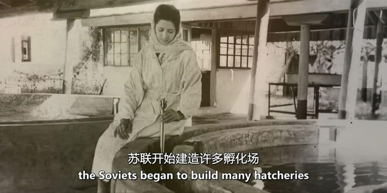美国纪录片《濒危远古大鱼 Saving the Dinosaur Fish 2020》英语中英双字 无水印纯净版 1080P/MKV/2.94G 濒危鲟鱼插图4 美国纪录片《濒危远古大鱼 Saving the Dinosaur Fish 2020》英语中英双字 无水印纯净版 1080P/MKV/2.94G 濒危鲟鱼插图4
