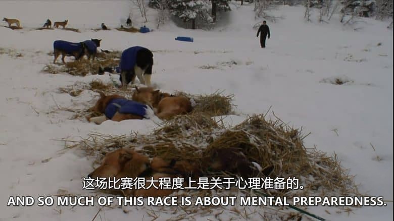 探索频道《地球上最艰难的比赛 Iditarod Toughest Race on Earth：Iditarod 2008》全6集 英语中英双字 无水印纯净版 1080P/MKV/22.1G 穿越阿拉斯加荒野插图5