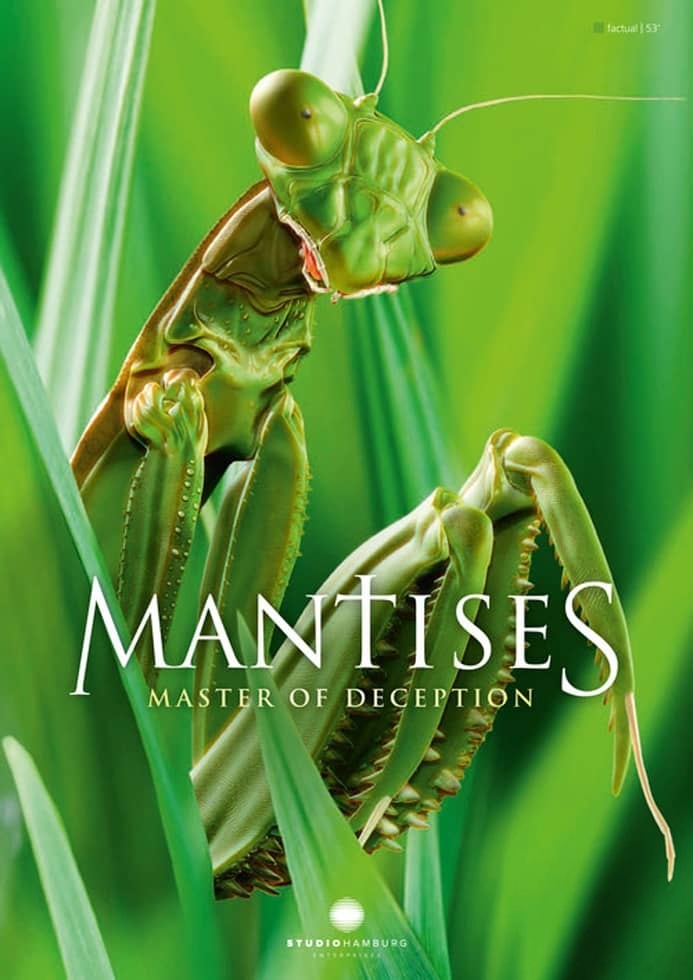 德国纪录片《螳螂:欺骗大师 Mantises:Masters of Deception 2019》英语中英双字 无水印纯净版 1080P/MKV/1.79G 螳螂纪录片插图 德国纪录片《螳螂:欺骗大师 Mantises:Masters of Deception 2019》英语中英双字 无水印纯净版 1080P/MKV/1.79G 螳螂纪录片插图