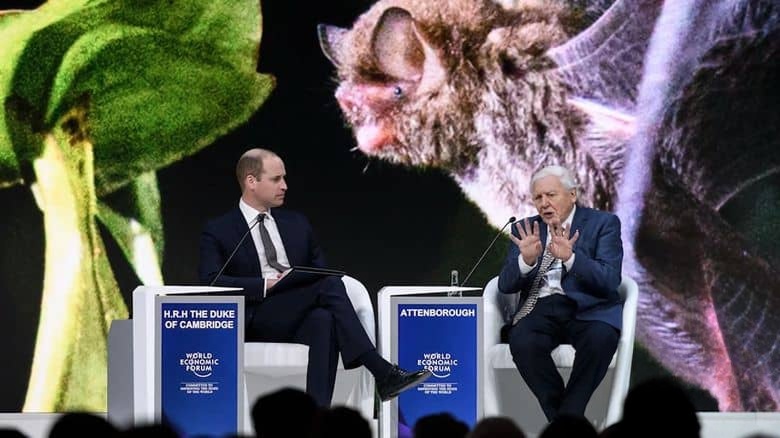 英国纪录片《大卫·爱登堡：地球上的生活 David Attenborough: A Life on Earth 2023》英语中英双字 无水印纯净版 1080P/MKV/2.57G 英国国宝级人物插图5