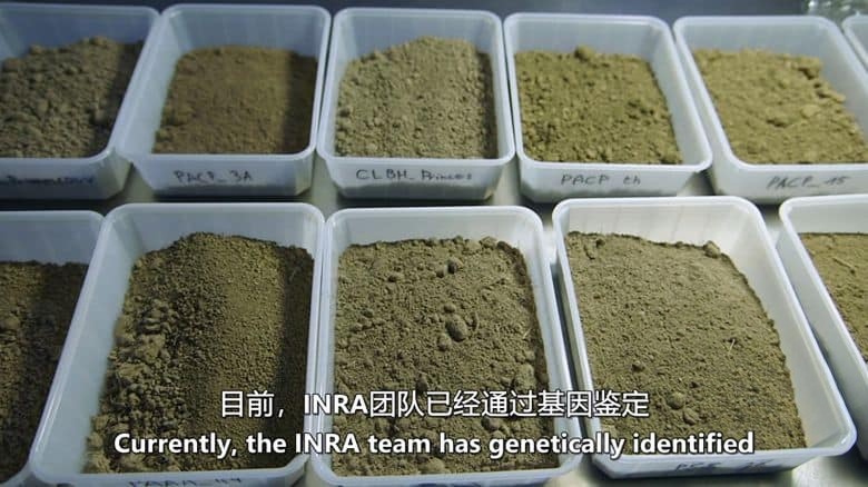 美国纪录片《地下的隐秘生命 Secret Life Underground 2014》全2集 英语中英双字 无水印纯净版 1080P/MKV/7.11G 地下生物插图3
