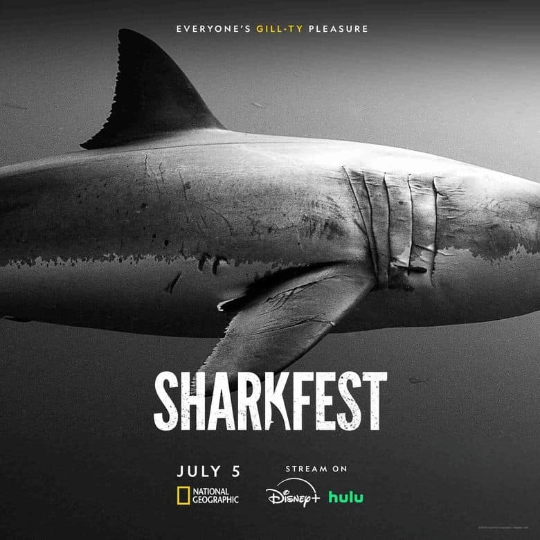 国家地理《北境狂鲨 Sharks of the North 2025》英语中英双字 无水印纯净版 1080P/MKV/2.25G 极北之鲨插图