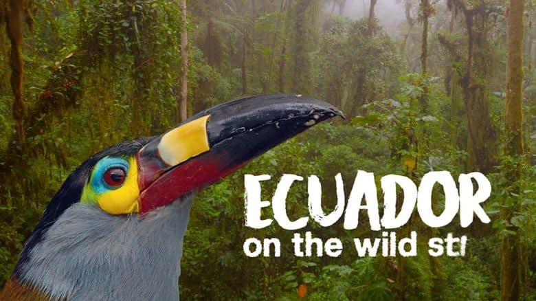Curiosity纪录片《厄瓜多尔:狂野的一面 Ecuador: On the Wild Side 2024》全2集 英语中英双字 无水印纯净版 1080P/MKV/9.17G 原生态厄瓜多尔插图1 Curiosity纪录片《厄瓜多尔:狂野的一面 Ecuador: On the Wild Side 2024》全2集 英语中英双字 无水印纯净版 1080P/MKV/9.17G 原生态厄瓜多尔插图1