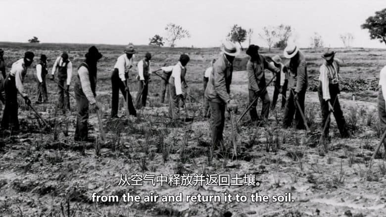 美国纪录片《再生农业 Common Ground 2025》英语中英双字 无水印纯净版 1080P/MKV/7.15G 可持续农业插图1