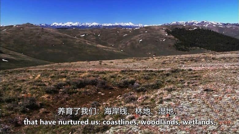 PBS纪录片《永恒的荒野:礼赞美国自然保护区 Forever Wild: Celebrating America’s Wilderness 2009》英语中英双字 无水印纯净版 1080P/MKV/1.47G 美国荒野法案插图1 PBS纪录片《永恒的荒野:礼赞美国自然保护区 Forever Wild: Celebrating America’s Wilderness 2009》英语中英双字 无水印纯净版 1080P/MKV/1.47G 美国荒野法案插图1
