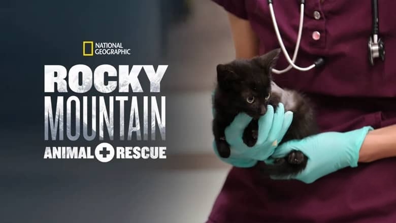 国家地理《落矶山动物救援行动 Rocky Mountain Animal Rescue 2018》全6集 多国语言多国字幕 无水印纯净版 720P/MKV/11G 动物救援插图1