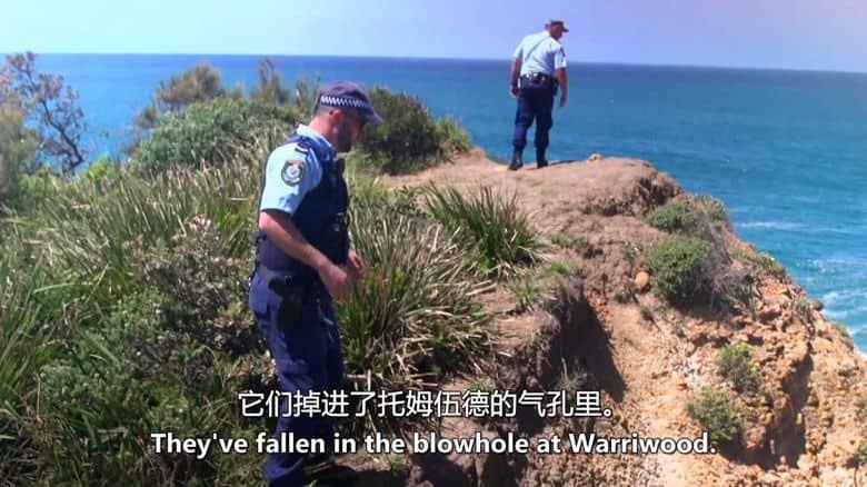 澳大利亚纪录片《海滩警察 Beach Cops 2015》第2-3季全12集 英语中英双字 无水印纯净版 1080P/MKV/18.4G 海滩警察插图3