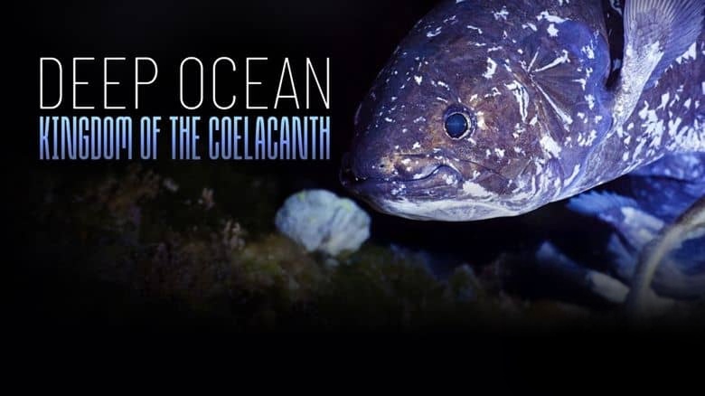 BBC纪录片《深海秘境:腔棘鱼王国 Kingdom of the Coelacanth 2025》英语中英双字 无水印纯净版 1080P/MKV/1G 深海秘境插图1 BBC纪录片《深海秘境:腔棘鱼王国 Kingdom of the Coelacanth 2025》英语中英双字 无水印纯净版 1080P/MKV/1G 深海秘境插图1