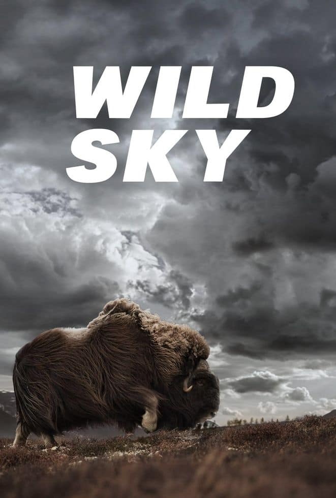 澳大利亚纪录片《狂野天空 Wild Sky 2025》第一季全4集 英语中英双字 无水印纯净版 1080P/MKV/11.2G 自然力量插图