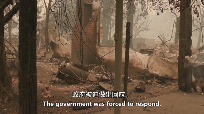 美国纪录片《美国森林大火:不为人知的故事 American Forest Fires: The Untold Story 2022》全4集 英语中英双字 无水印纯净版 1080P/MKV/11.4G美国森林大火插图4 美国纪录片《美国森林大火:不为人知的故事 American Forest Fires: The Untold Story 2022》全4集 英语中英双字 无水印纯净版 1080P/MKV/11.4G美国森林大火插图4