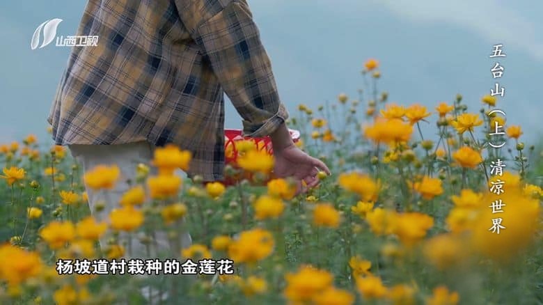 国产纪录片《中国的世界遗产·山西篇 World Heritage Sites in China 2025》全6集 国语中字 1080P/MKV/1.38G 世界遗产插图5