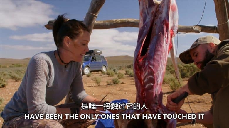 澳大利亚纪录片《荒野大隔离 Outback Lockdown 2020》全3集 英语中英双字 无水印纯净版 1080P/MKV/8.71G 荒野爱情插图4