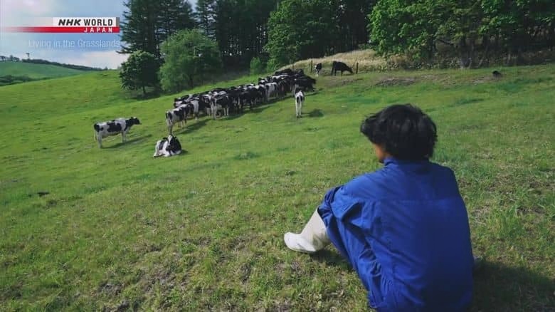 NHK纪录片《草原生活 Living in the Grasslands 2025》英语无字 1080P/MKV/948M 草原生活插图4 NHK纪录片《草原生活 Living in the Grasslands 2025》英语无字 1080P/MKV/948M 草原生活插图4