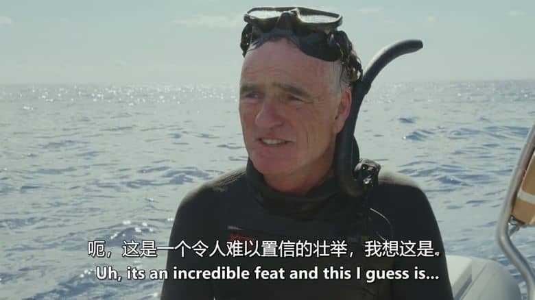 RTE纪录片《海豚：海洋奇观 Dolphins: Wonders of the Ocean 2025》英语中英双字 无水印纯净版 1080P/MKV/2.17G 海豚纪录片插图3