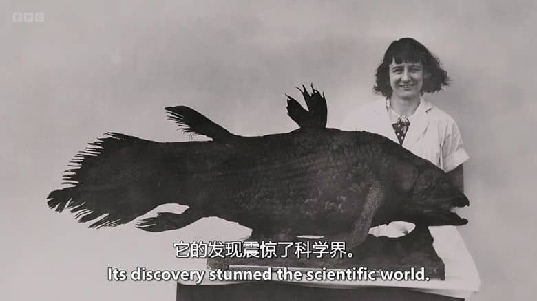 BBC纪录片《深海秘境:腔棘鱼王国 Kingdom of the Coelacanth 2025》英语中英双字 无水印纯净版 1080P/MKV/1G 深海秘境插图2 BBC纪录片《深海秘境:腔棘鱼王国 Kingdom of the Coelacanth 2025》英语中英双字 无水印纯净版 1080P/MKV/1G 深海秘境插图2