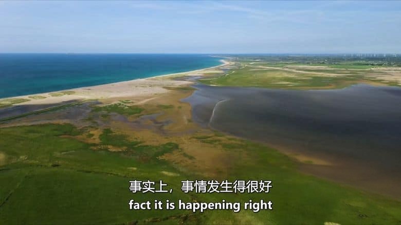 BBC纪录片《赏春 Springwatch 2025》全12集 英语中英双字 无水印纯净版 1080P/MKV/22.48GB 英伦春日插图4