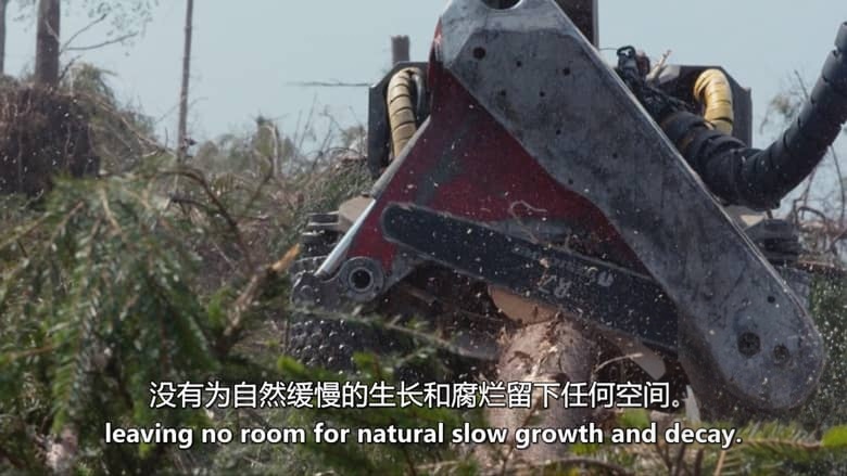 德国纪录片《山中之王:金雕 King of the Mountains:Golden Eagle 2015》英语中英双字 无水印纯净版 1080P/MKV/3.34G 金雕插图7 德国纪录片《山中之王:金雕 King of the Mountains:Golden Eagle 2015》英语中英双字 无水印纯净版 1080P/MKV/3.34G 金雕插图7