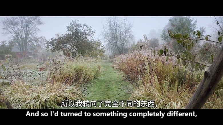法国纪录片《北欧奇观 Wonders of Northern Europe 2020》全5集 英语中英双字 无水印纯净版 1080P/MKV/13.3G 北欧风情插图5 法国纪录片《北欧奇观 Wonders of Northern Europe 2020》全5集 英语中英双字 无水印纯净版 1080P/MKV/13.3G 北欧风情插图5