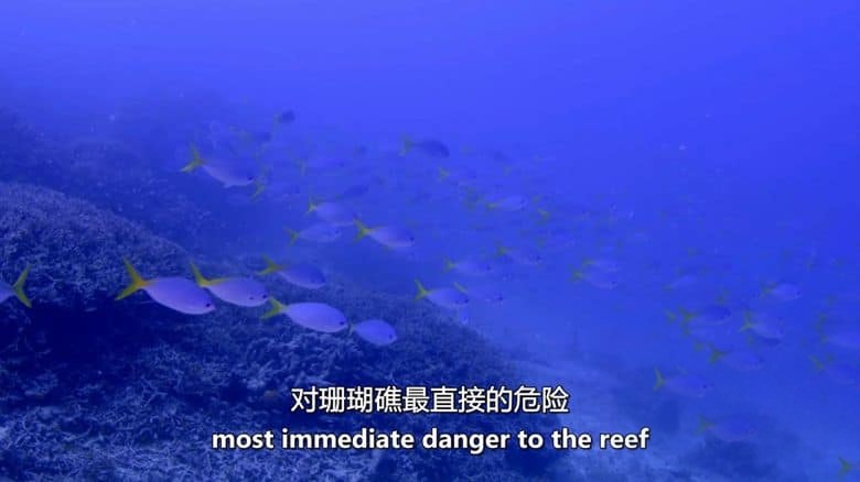 BBC纪录片《科学家能拯救世界吗?Can Scientists Save the World? 2024》英语中英双字 无水印纯净版 1080P/MKV/2.23G 拯救世界的科学家插图3 BBC纪录片《科学家能拯救世界吗?Can Scientists Save the World? 2024》英语中英双字 无水印纯净版 1080P/MKV/2.23G 拯救世界的科学家插图3