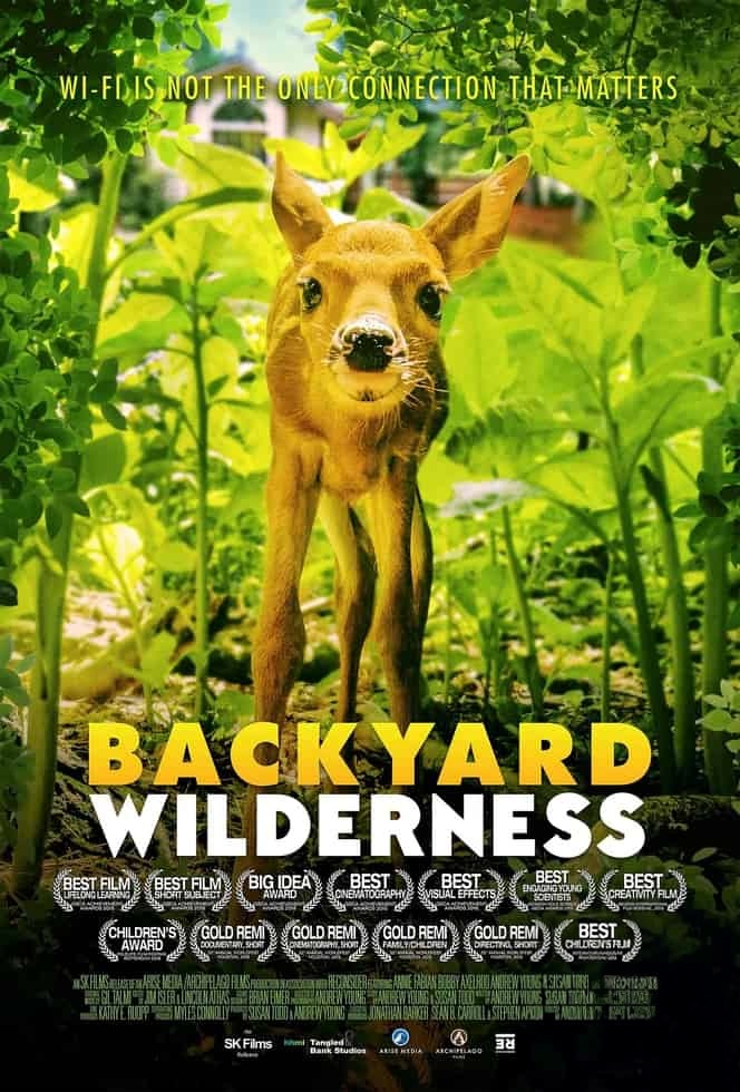 美国纪录片《后院风光 Backyard Wilderness 2018》英语外挂多国字幕 无水印纯净版 1080P/MP4/813M 后院四季插图