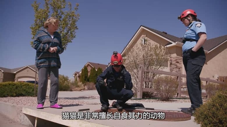 国家地理《落矶山动物救援行动 Rocky Mountain Animal Rescue 2018》全6集 多国语言多国字幕 无水印纯净版 720P/MKV/11G 动物救援插图6
