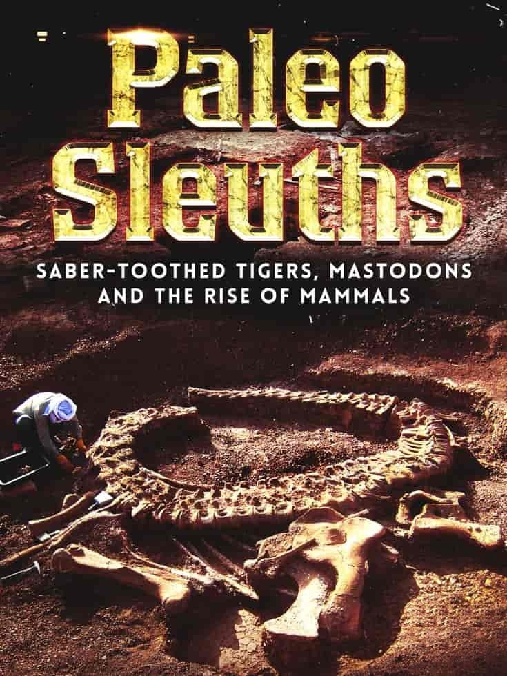 美国纪录片《考古侦探：剑齿虎、乳齿象和哺乳动物的崛起 Paleo Sleuths: Saber-Toothed Tigers, Mastodons, and the Rise of Mammals 2016》英语中英双字 无水印纯净版 1080P/MKV/6.88G 古代哺乳动物插图