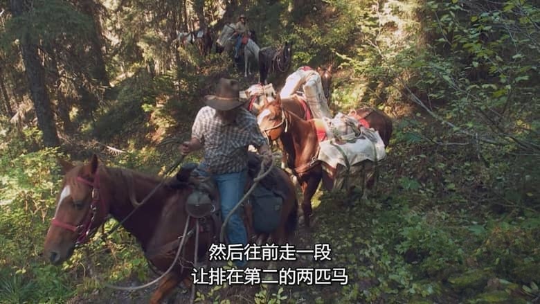 国家地理《亡命速递 Dead End Express 2015》全8集 多国语言多国字幕 无水印纯净版 720P/MKV/16.1G 绝命快递插图2