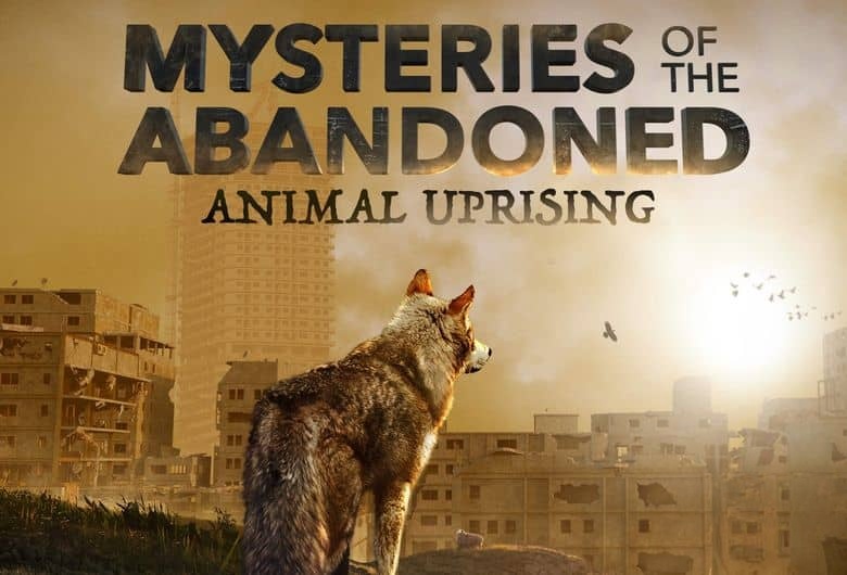 探索频道《废弃建筑之谜：动物崛起 Mysteries of the Abandoned: Animal Uprising 2020》英语中英双字 无水印纯净版 1080P/MKV/1.85G 废弃建筑插图