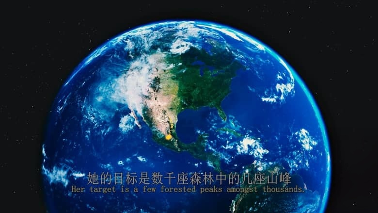 英国纪录片《帝王蝶的迁徙 Flight of the Butterflies 2012》英语中英双字 无水印纯净收藏版 4K蓝光原盘/2160P/MKV/18.3G 生物大迁徙插图6