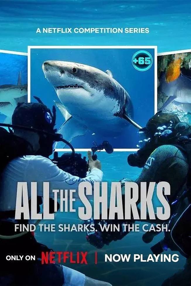 Netflix纪录片《众里寻鲨:拍摄大作战 All the Sharks 2025》全6集 英语多国字幕 无水印纯净版 1080P/MKV/13.8G 鲨鱼纪录片插图 Netflix纪录片《众里寻鲨:拍摄大作战 All the Sharks 2025》全6集 英语多国字幕 无水印纯净版 1080P/MKV/13.8G 鲨鱼纪录片插图