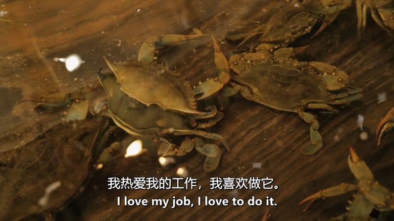 美国纪录片《逆流而上：东海岸的生活 Against the Current: Life on the Eastern Shore 2024》英语中英双字 无水印纯净版 1080P/MKV/2.61G 沿海居民插图5