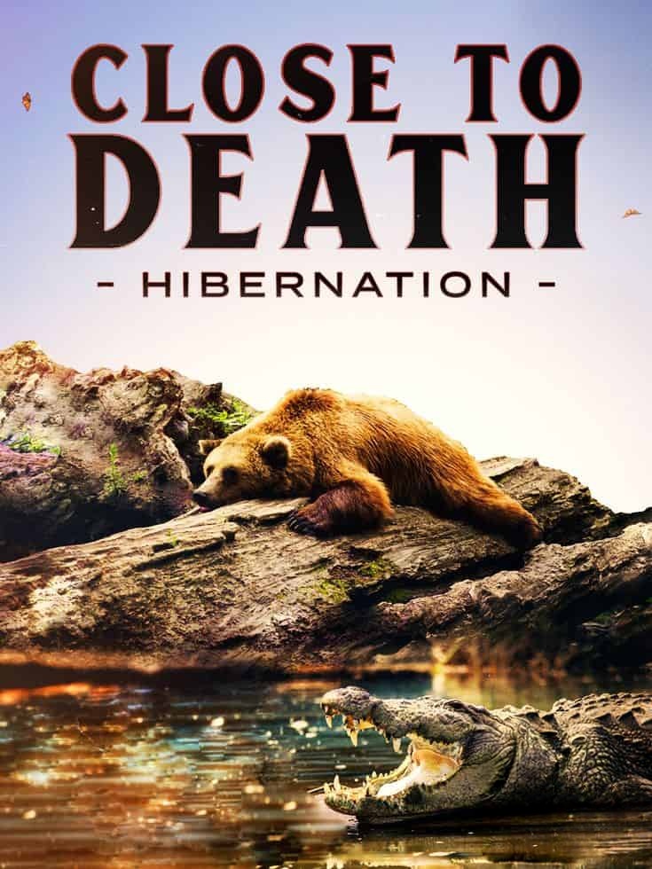 美国纪录片《濒临死亡:冬眠 Close to Death: Hibernation 2015》英语中英双字 无水印纯净版 1080P/MKV/2.34G 动物冬眠插图 美国纪录片《濒临死亡:冬眠 Close to Death: Hibernation 2015》英语中英双字 无水印纯净版 1080P/MKV/2.34G 动物冬眠插图