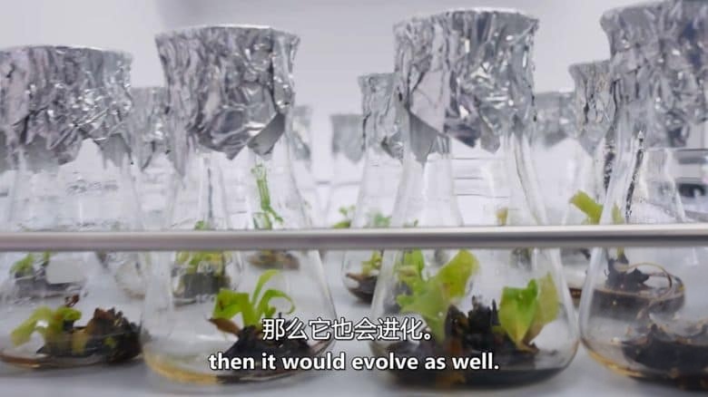新加坡纪录片《星际农场:新边疆 Space Farmers:Foods New Frontiers 2023》英语中英双字 无水印纯净版 1080P/MKV/1.83G 星际农场插图5 新加坡纪录片《星际农场:新边疆 Space Farmers:Foods New Frontiers 2023》英语中英双字 无水印纯净版 1080P/MKV/1.83G 星际农场插图5