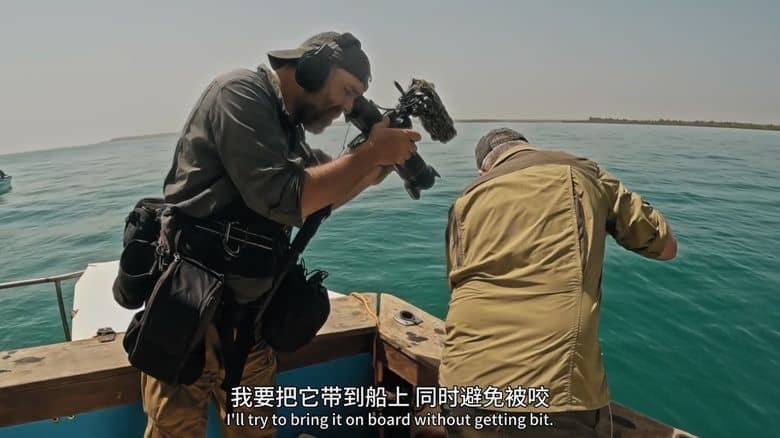 国家地理《追踪巨型鱼 Last of the Giants 2025》第三季全8集 中英双语中字 1080P/MP4/13.3G 探索巨型鱼类插图4 国家地理《追踪巨型鱼 Last of the Giants 2025》第三季全8集 中英双语中字 1080P/MP4/13.3G 探索巨型鱼类插图4