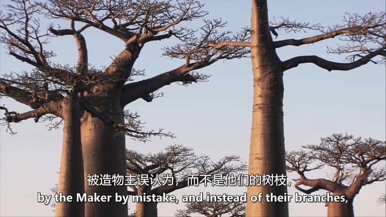 美国纪录片《世界名胜 Great Places of the World 2016》全6集 英语中英双字 无水印纯净版 1080P/MKV/15.1G 世界名胜插图2