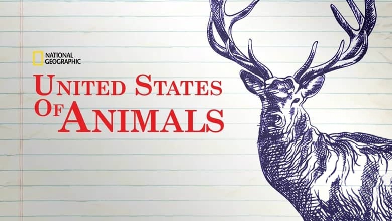 国家地理《美国动物百科 United States of Animals 2016》全12集 多国语言多国字幕 无水印纯净版 720P/MKV/10.8G 美国野生动物插图1