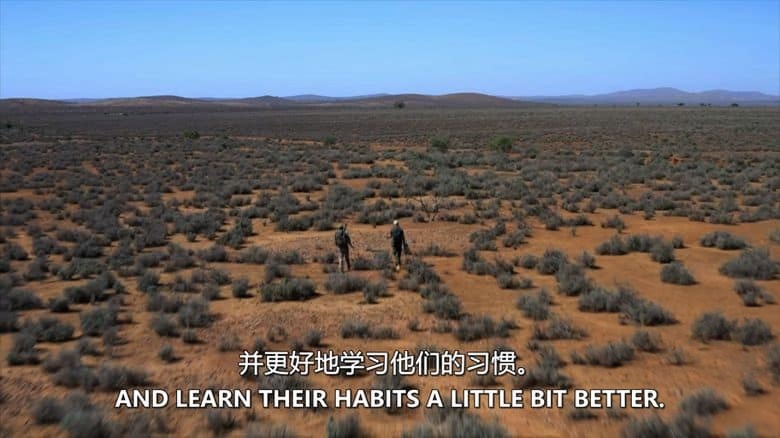澳大利亚纪录片《荒野大隔离 Outback Lockdown 2020》全3集 英语中英双字 无水印纯净版 1080P/MKV/8.71G 荒野爱情插图3