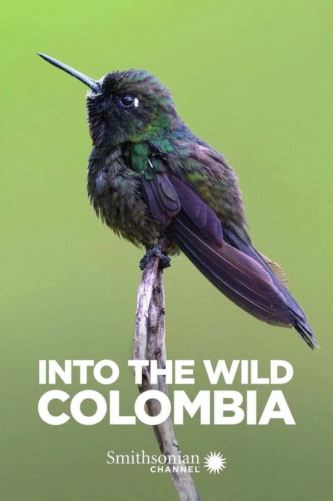史密森尼频道《走进野外:哥伦比亚 Into the Wild: Colombia 2018》第一季全5集 英语中英双字 1080P/MP4/3.33G 动物的故事插图 史密森尼频道《走进野外:哥伦比亚 Into the Wild: Colombia 2018》第一季全5集 英语中英双字 1080P/MP4/3.33G 动物的故事插图