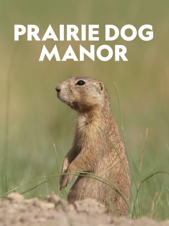 国家地理《土拨鼠大宅门 Prairie Dog Manor 2019》全12集 多国语言多国字幕 无水印纯净版 720P/MKV/14.4G 土拨鼠插图